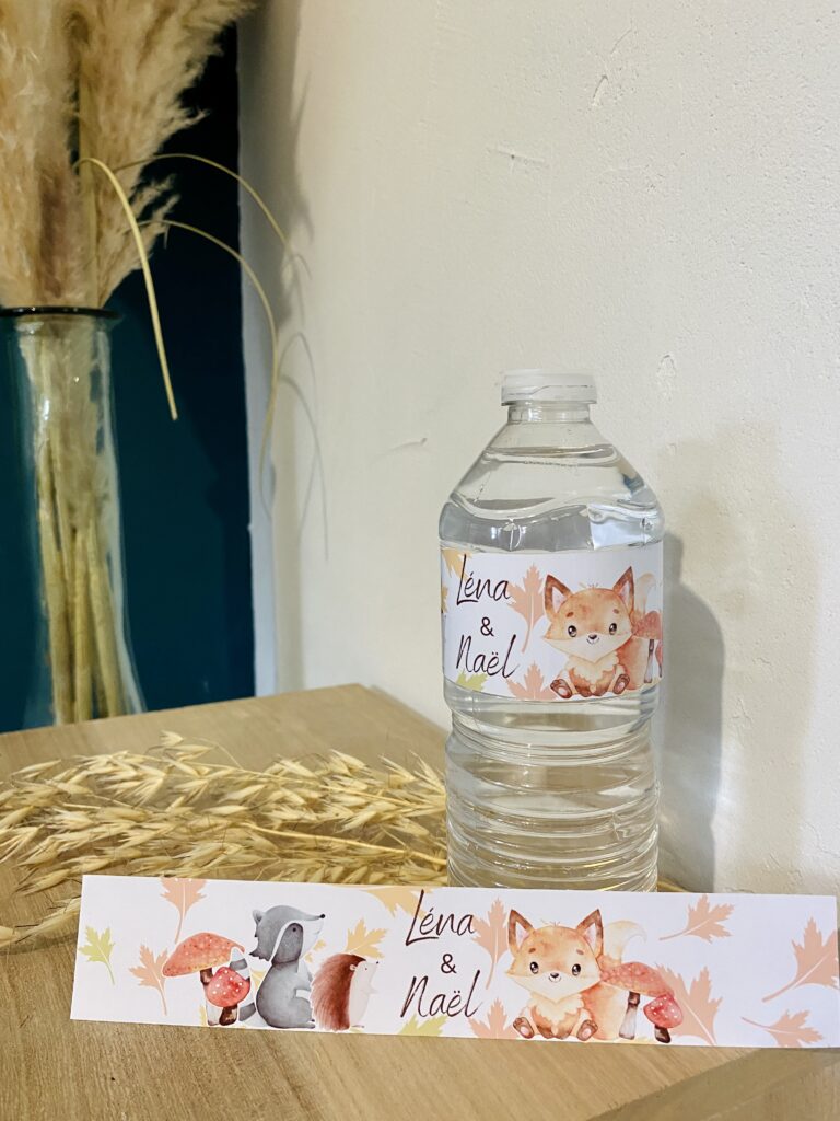 Attaque De Renard : Comment Protéger Son Poulailler ? | Mes Poules